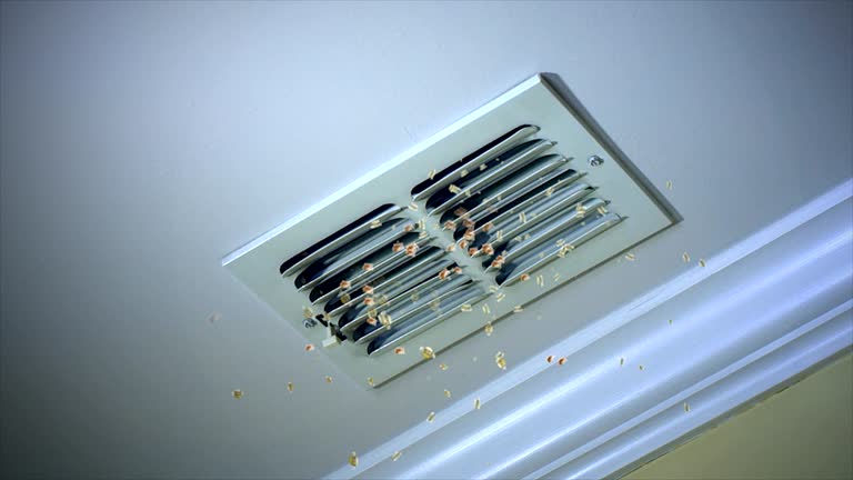 Best Air Vent Cleaning Services  in Wood Dale, IL