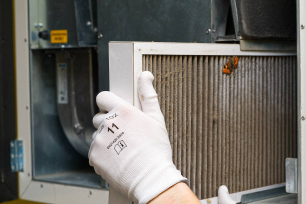 Best Air Duct Cleaning Near Me  in Wood Dale, IL