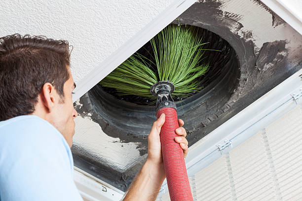Best Dryer Vent Cleaning Services  in Wood Dale, IL