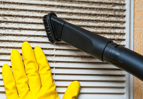 Best HVAC Maintenance and Cleaning  in Wood Dale, IL